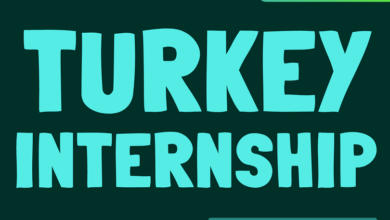 internship in Turkey
