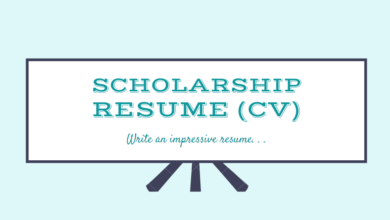 CV for Scholarship - Scholarship Resume