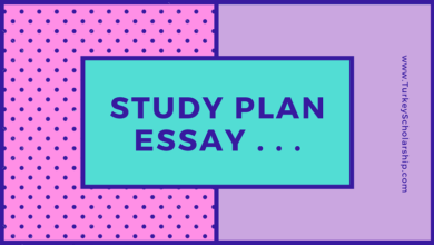 Study plan essay for scholarship application for undergraduate and postgraduate