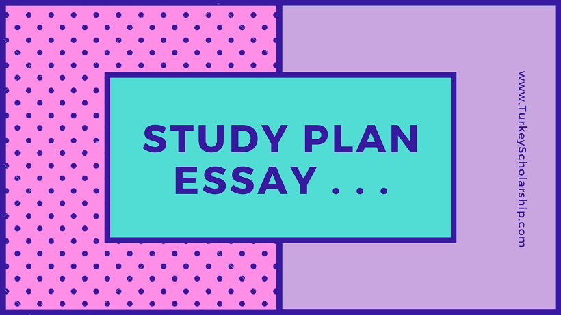 Study Plan Essay for Scholarship Application in 2023