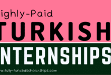 Turkey Summer Internships Without IELTS - Turkiye Internships