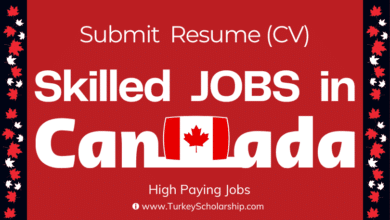 Canadian High Paying Jobs for Skilled Professionals