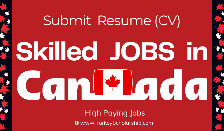 Canadian High Paying Jobs for Skilled Professionals