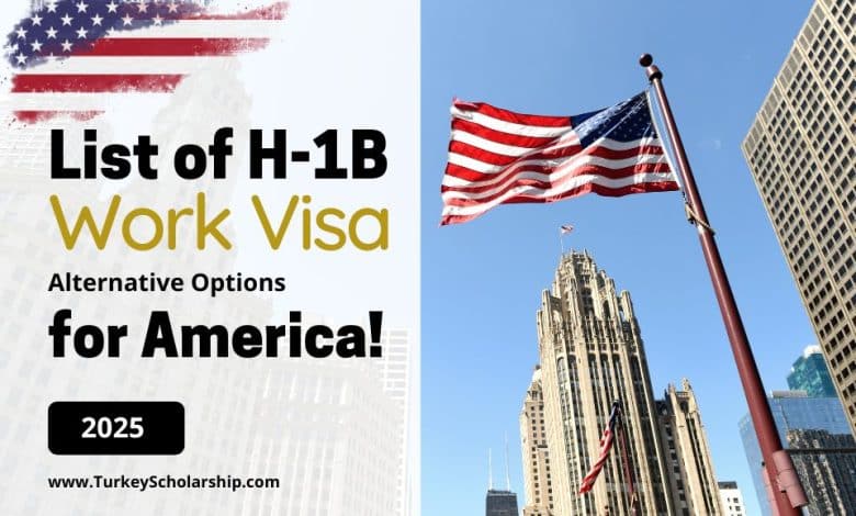 USA H-1B Work Visa Alternative Options Available in 2025