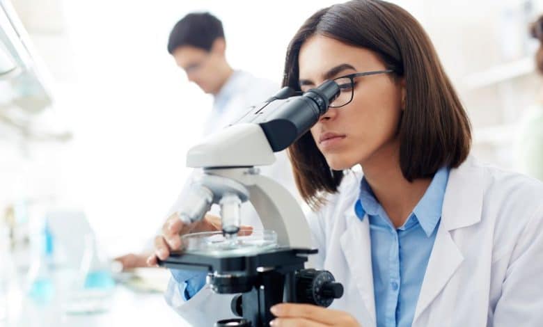 Humboldt Foundation Offers Fully-funded Fellowship 2025 for Experienced International Researchers in Germany