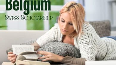 Time to Apply for ICP Connect Scholarship 2026 in Belgium